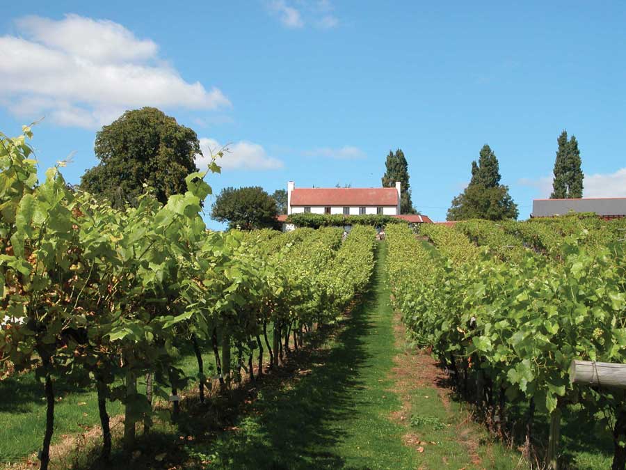 Three-Choirs-Vineyard-1-900-pix